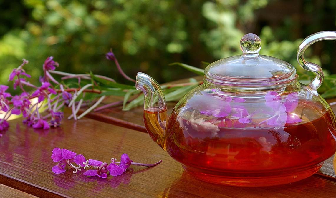 Epilobio per tisane
